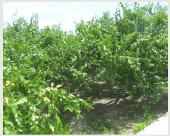  2024Ÿ��13482 �泲 �о�� ��ܸ� ��õ�� 652-2      ����(��)���