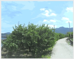  2024Ÿ��13482 �泲 �о�� ��ܸ� ��õ�� 652-2      ����(��)���