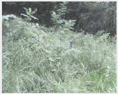  2024Ÿ��13543 �泲 �о�� �󳲸� ���긮 ��39-3      ����(�Ӿ�)���