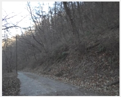  2024Ÿ��13543 �泲 �о�� �󳲸� ���긮 ��39-3      ����(�Ӿ�)���