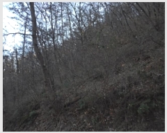  2024Ÿ��13543 �泲 �о�� �󳲸� ���긮 ��39-3      ����(�Ӿ�)���