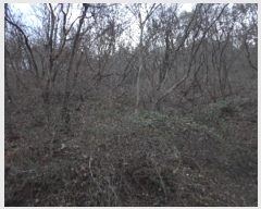  2024Ÿ��13543 �泲 �о�� �󳲸� ���긮 ��39-3      ����(�Ӿ�)���