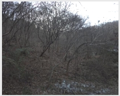  2024Ÿ��13543 �泲 �о�� �󳲸� ���긮 ��39-3      ����(�Ӿ�)���