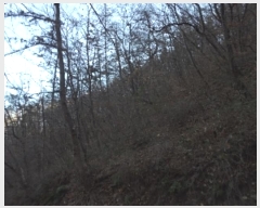  2024Ÿ��13543 �泲 �о�� �󳲸� ���긮 ��39-3      ����(�Ӿ�)���