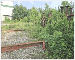  2024Ÿ��13574  �����