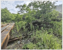  2024Ÿ��13574  �����