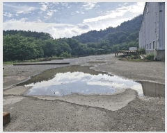  2024Ÿ��13574  �����