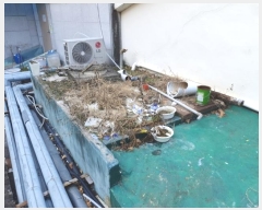  2024Ÿ127 泲 â籺 ΰ Ź 216-11      ڽü,,ȣ,