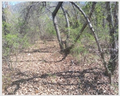  2024Ÿ��493 �泲 �о�� ����� �翬�� 1063-2      ����(��)���