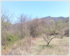  2024Ÿ��493 �泲 �о�� ����� �翬�� 1063-2      ����(��)���