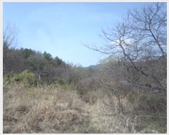  2024Ÿ��493 �泲 �о�� ����� �翬�� 1063-2      ����(��)���