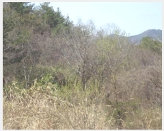  2024Ÿ��493 �泲 �о�� ����� �翬�� 1063-2      ����(��)���