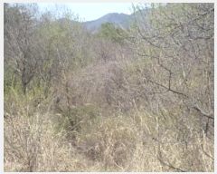  2024Ÿ��493 �泲 �о�� ����� �翬�� 1063-2      ����(��)���