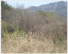  2024Ÿ��493 �泲 �о�� ����� �翬�� 1063-2      ����(��)���