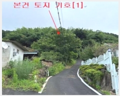  2024Ÿ1519 泲 о ϳ 縮 333      ()