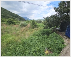  2024Ÿ��1731 �泲 �о�� �󵿸� ������ 1648      ����(��1)���