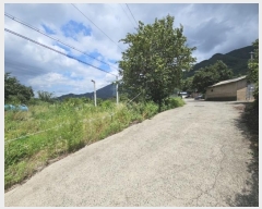  2024Ÿ��1731 �泲 �о�� �󵿸� ������ 1648      ����(��1)���