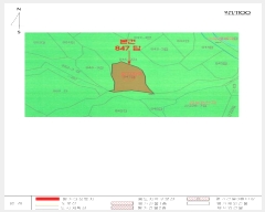  2024Ÿ2031 泲 â籺 ΰ Ź 847      ()