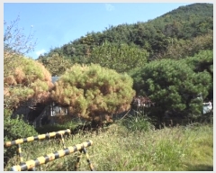  2024Ÿ��2475 �泲 �о�� ����� ���︮ 838      ����(��)���