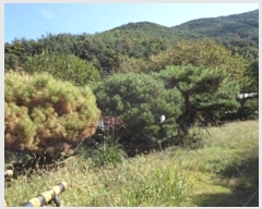  2024Ÿ��2475 �泲 �о�� ����� ���︮ 838      ����(��)���