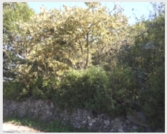  2024Ÿ��2475 �泲 �о�� ����� ���︮ 838      ����(��)���