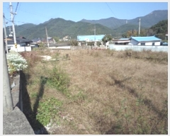  2024Ÿ��2536 �泲 �о�� ����� �·渮 637-1      ����(����)���