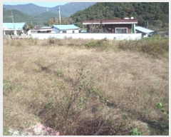  2024Ÿ��2536 �泲 �о�� ����� �·渮 637-1      ����(����)���