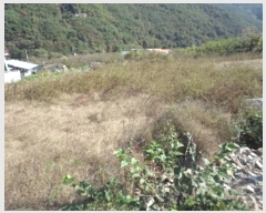  2024Ÿ��2536 �泲 �о�� ����� �·渮 637-1      ����(����)���