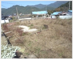  2024Ÿ��2536 �泲 �о�� ����� �·渮 637-1      ����(����)���