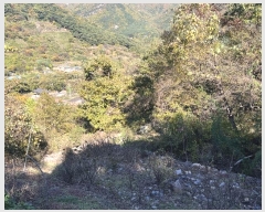  2024Ÿ��2567 �泲 �о�� ����� ��õ�� 261      ����(��1)���