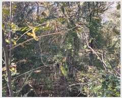  2024Ÿ��2567 �泲 �о�� ����� ��õ�� 261      ����(��1)���