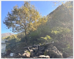  2024Ÿ��2567 �泲 �о�� ����� ��õ�� 261      ����(��1)���