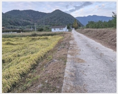  2024Ÿ��2598 �泲 �о�� û���� ������ 1316-2      ��õ���