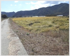  2024Ÿ��2598 �泲 �о�� û���� ������ 1316-2      ��õ���