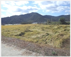  2024Ÿ��2598 �泲 �о�� û���� ������ 1316-2      ��õ���