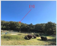  2024Ÿ2710 泲 â籺 ϸ  145      (Ӿ)