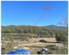  2024Ÿ2710 泲 â籺 ϸ  145      (Ӿ)