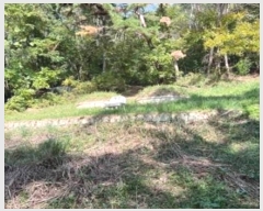  2024Ÿ2710 泲 â籺 ϸ  145      (Ӿ)