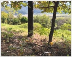  2024Ÿ2710 泲 â籺 ϸ  145      (Ӿ)