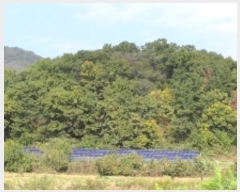  2024Ÿ2710 泲 â籺 ϸ  145      (Ӿ)