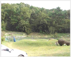  2024Ÿ2710 泲 â籺 ϸ  145      (Ӿ)