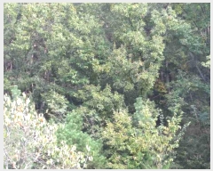  2024Ÿ2710 泲 â籺 ϸ  145      (Ӿ)