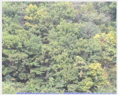  2024Ÿ2710 泲 â籺 ϸ  145      (Ӿ)