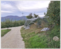  2024Ÿ2741 泲 о 곻 Ǹ 1542-2      (1)