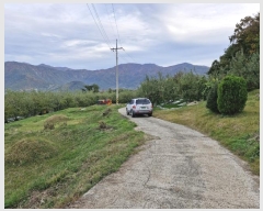  2024Ÿ2741 泲 о 곻 Ǹ 1542-2      (1)