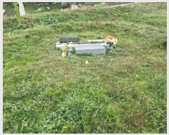  2024Ÿ2741 泲 о 곻 Ǹ 1542-2      (1)