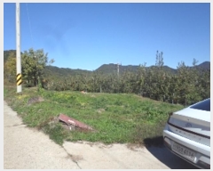  2024Ÿ2741 泲 о 곻 Ǹ 1542-2      (1)