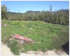  2024Ÿ2741 泲 о 곻 Ǹ 1542-2      (1)