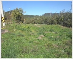  2024Ÿ2741 泲 о 곻 Ǹ 1542-2      (1)