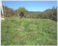  2024Ÿ2741 泲 о 곻 Ǹ 1542-2      (1)